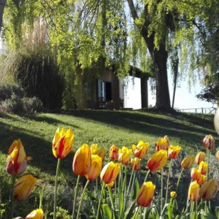 Agriturismo Quartopodere Magliano in Toscana Eksteriør bilde