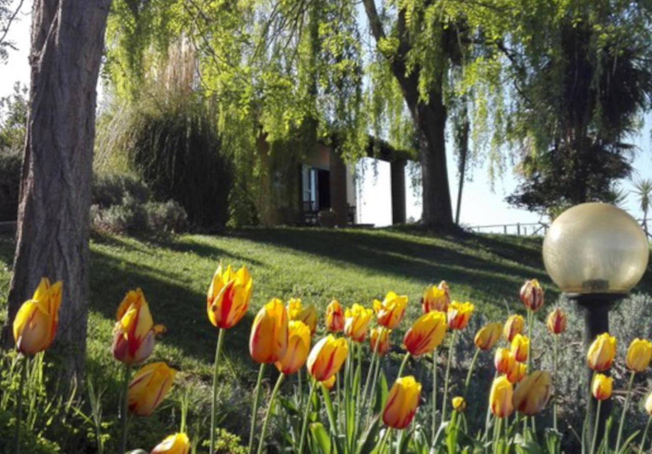 Agriturismo Quartopodere Magliano in Toscana Eksteriør bilde