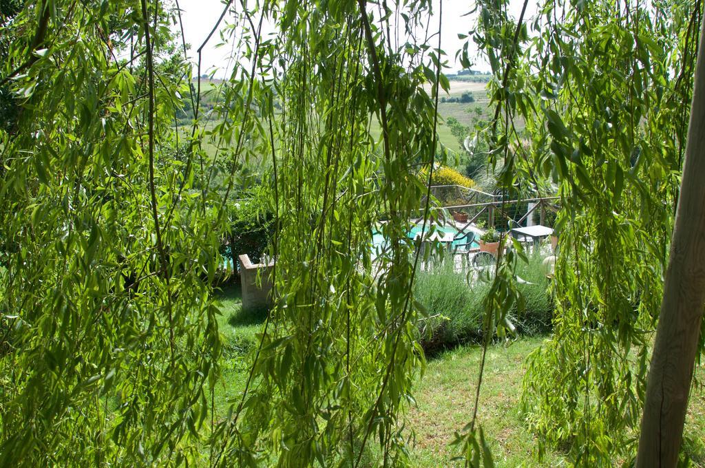 Agriturismo Quartopodere Magliano in Toscana Eksteriør bilde