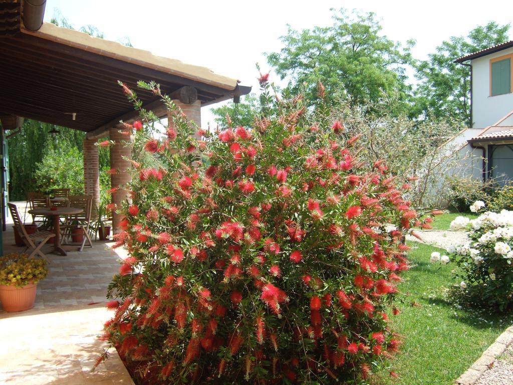 Agriturismo Quartopodere Magliano in Toscana Eksteriør bilde